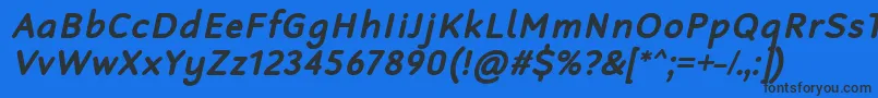 RobagaRoundedBoldItalic Font – Black Fonts on Blue Background