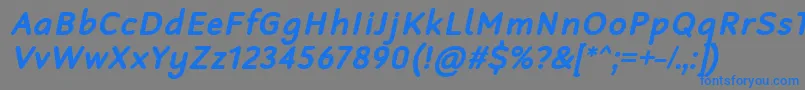 フォントRobagaRoundedBoldItalic – 灰色の背景に青い文字