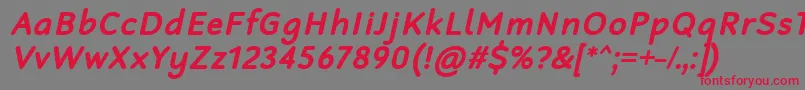 RobagaRoundedBoldItalic Font – Red Fonts on Gray Background