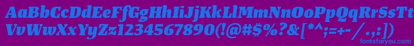 TangerserifmediumHeavyitalic Font – Blue Fonts on Purple Background