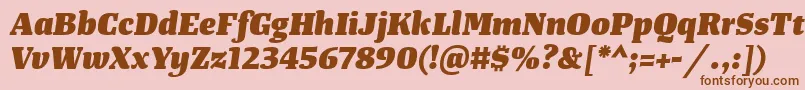 TangerserifmediumHeavyitalic Font – Brown Fonts on Pink Background