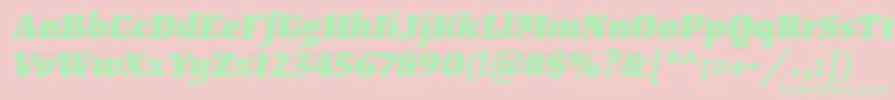 TangerserifmediumHeavyitalic Font – Green Fonts on Pink Background