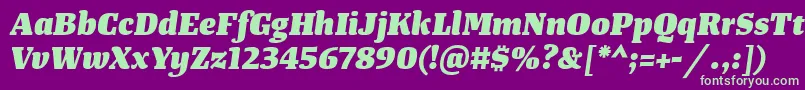 TangerserifmediumHeavyitalic Font – Green Fonts on Purple Background