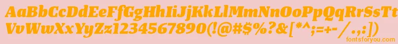 TangerserifmediumHeavyitalic Font – Orange Fonts on Pink Background