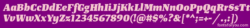 TangerserifmediumHeavyitalic Font – Pink Fonts on Purple Background