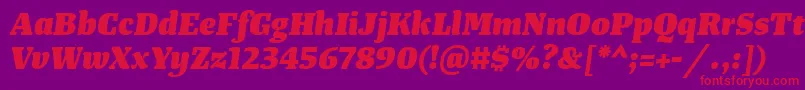 TangerserifmediumHeavyitalic Font – Red Fonts on Purple Background