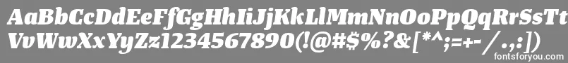 フォントTangerserifmediumHeavyitalic – 灰色の背景に白い文字