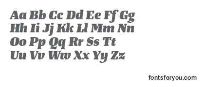 TangerserifmediumHeavyitalic Font