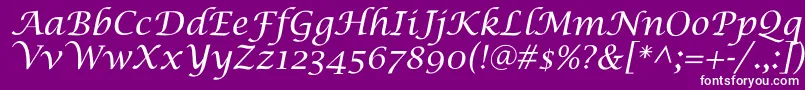 LucidaCalligra Font – White Fonts on Purple Background