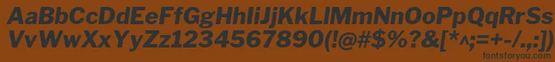 LibrefranklinExtrabolditalic Font – Black Fonts on Brown Background