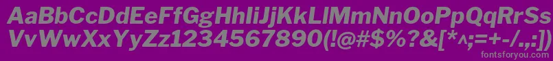 LibrefranklinExtrabolditalic Font – Gray Fonts on Purple Background