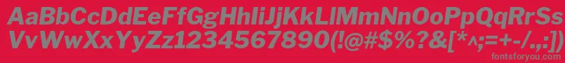 LibrefranklinExtrabolditalic Font – Gray Fonts on Red Background