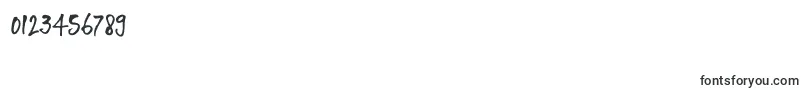 DkVentana Font – Fonts for Numbers and Digits