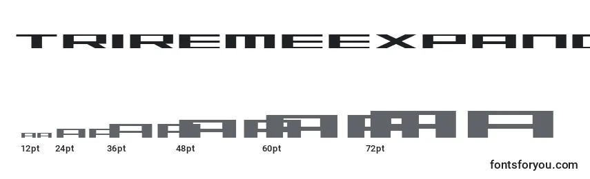 TriremeExpanded font sizes