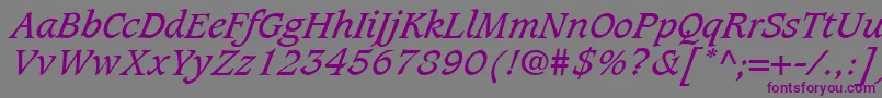 Czcionka CaxtonLtBookItalic – fioletowe czcionki na szarym tle