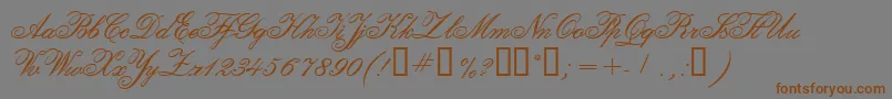 CalligraphiaTwo Font – Brown Fonts on Gray Background