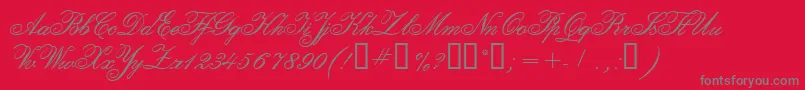 CalligraphiaTwo Font – Gray Fonts on Red Background