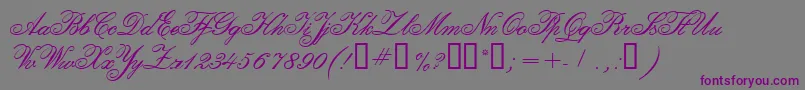 CalligraphiaTwo-fontti – violetit fontit harmaalla taustalla