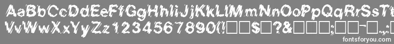 EightcountsskRegular Font – White Fonts on Gray Background