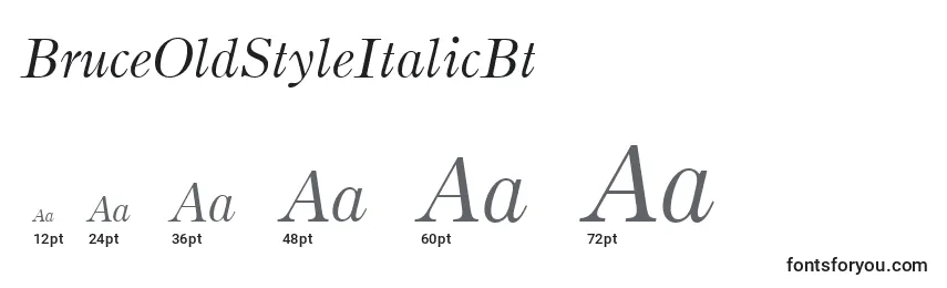 Размеры шрифта BruceOldStyleItalicBt
