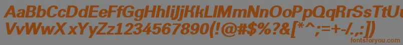 AGroticextraboldItalic Font – Brown Fonts on Gray Background