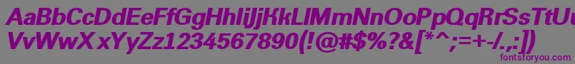 AGroticextraboldItalic Font – Purple Fonts on Gray Background
