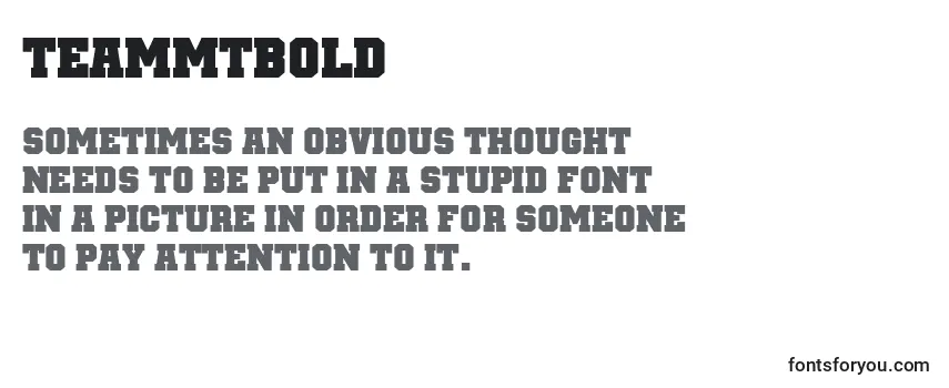 Review of the TeamMtBold Font