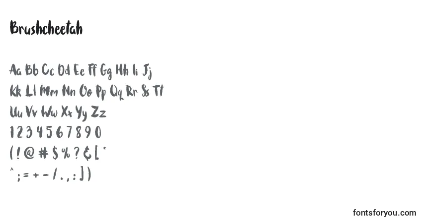 Czcionka Brushcheetah (40940) – alfabet, cyfry, specjalne znaki