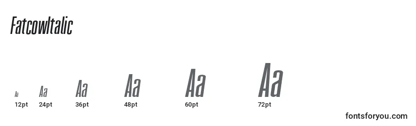 FatcowItalic Font Sizes