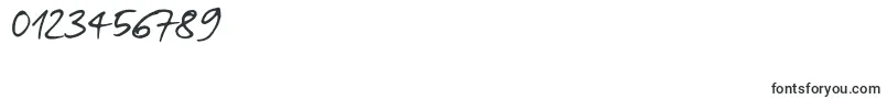BreakawayOpentype Font – Fonts for Numbers and Digits