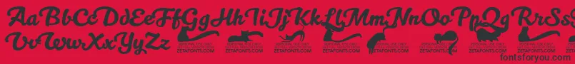 Kittenswashtrial Font – Black Fonts on Red Background