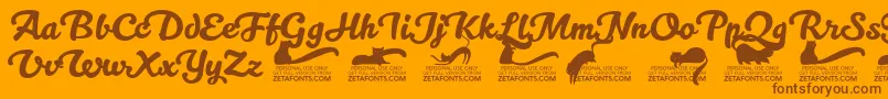 Kittenswashtrial Font – Brown Fonts on Orange Background