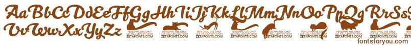 Kittenswashtrial Font – Brown Fonts on White Background