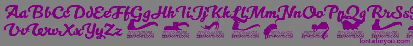 Kittenswashtrial Font – Purple Fonts on Gray Background