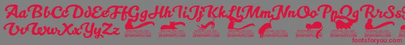 Kittenswashtrial Font – Red Fonts on Gray Background