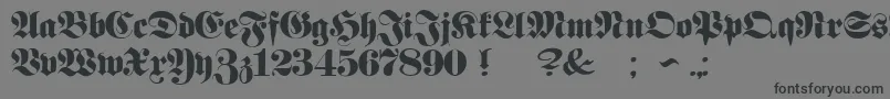 ProclamateHeavy Font – Black Fonts on Gray Background