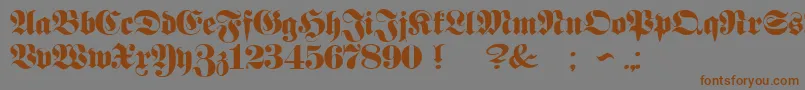 ProclamateHeavy Font – Brown Fonts on Gray Background