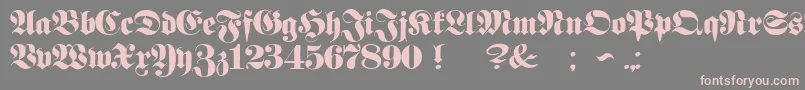 ProclamateHeavy Font – Pink Fonts on Gray Background