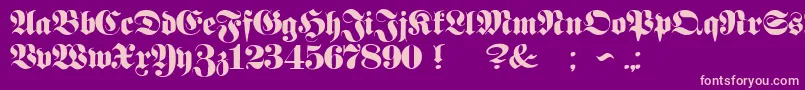 ProclamateHeavy Font – Pink Fonts on Purple Background