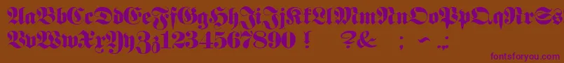 ProclamateHeavy Font – Purple Fonts on Brown Background