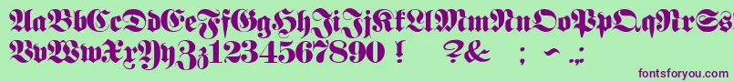 ProclamateHeavy Font – Purple Fonts on Green Background