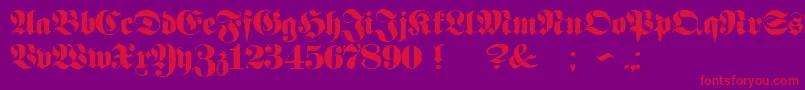 ProclamateHeavy Font – Red Fonts on Purple Background