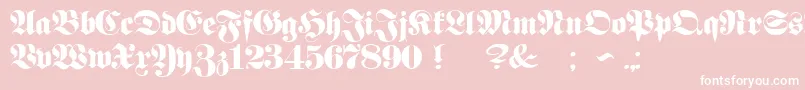 ProclamateHeavy Font – White Fonts on Pink Background