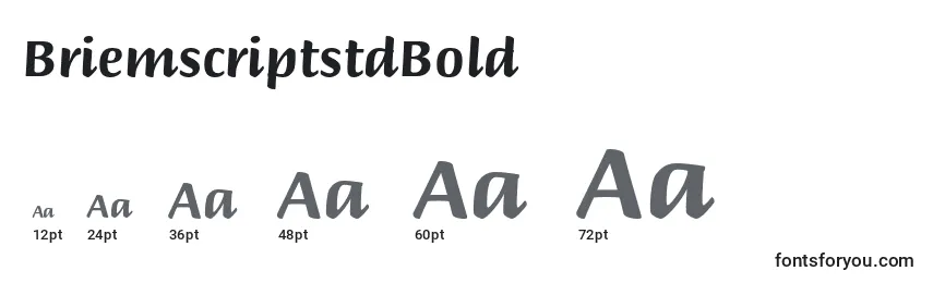 BriemscriptstdBold Font Sizes