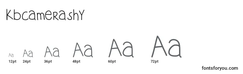 Kbcamerashy Font Sizes