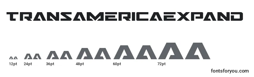 Transamericaexpand Font Sizes
