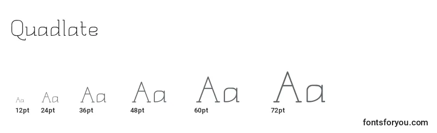 Размеры шрифта Quadlate