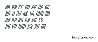 Review of the Zoneriderital Font