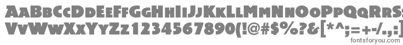 フォントAcsiomanextc – 白い背景に灰色の文字