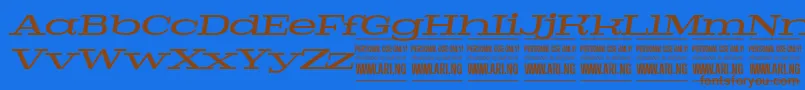 PigeonmediumitalPersonal-Schriftart – Braune Schriften auf blauem Hintergrund